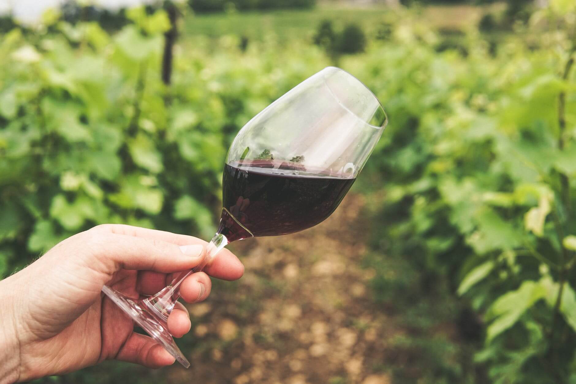 Happy hour virtual corporativo: 10 ideias para surpreender colaboradores e clientes 14