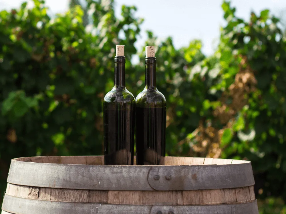 Uma viagem à Portugal através do vinho no conforto da sua casa! 3