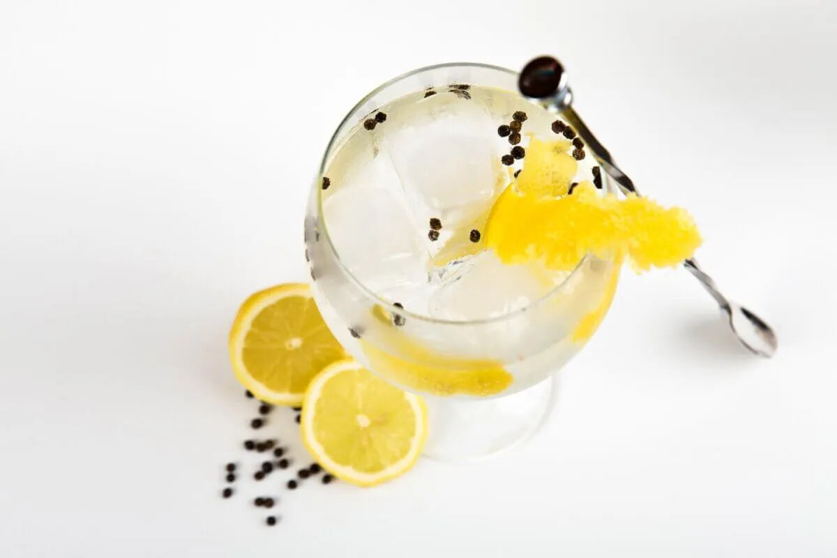 Gin's variations - Uma aula especial para amantes de gin 3